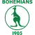 Bohemians 1905 II