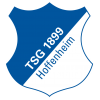 1899 Hoffenheim logo