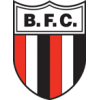 Botafogo SP logo