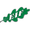 EIF logo