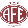 Ferroviária logo