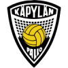 KaPa logo