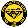 Netanya logo