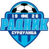 Radnik logo