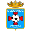 Blooming logo