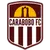 Carabobo FC logo