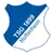 Hoffenheim logo