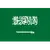 Saudi Arabia logo